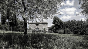 Podere Pievina Delle Corti - Dimora di Campagna